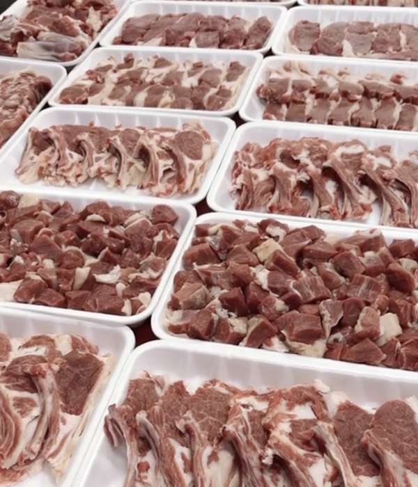 Konya Adak Akika Kurban Kesimi