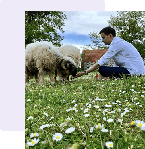 Konya Adak Akika Kurban Kesimi