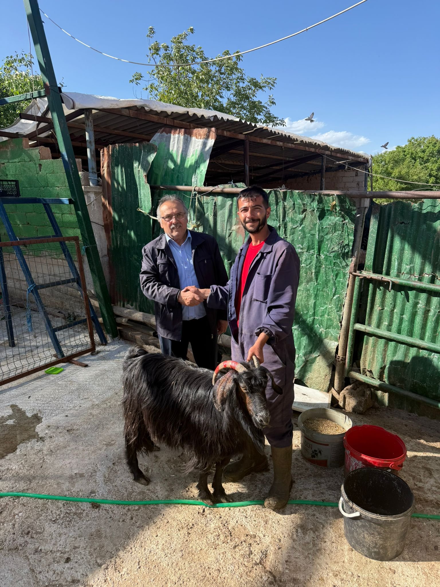 Altunkara Besicilik gerçek müşteri memnuniyeti fotoğrafı Konya