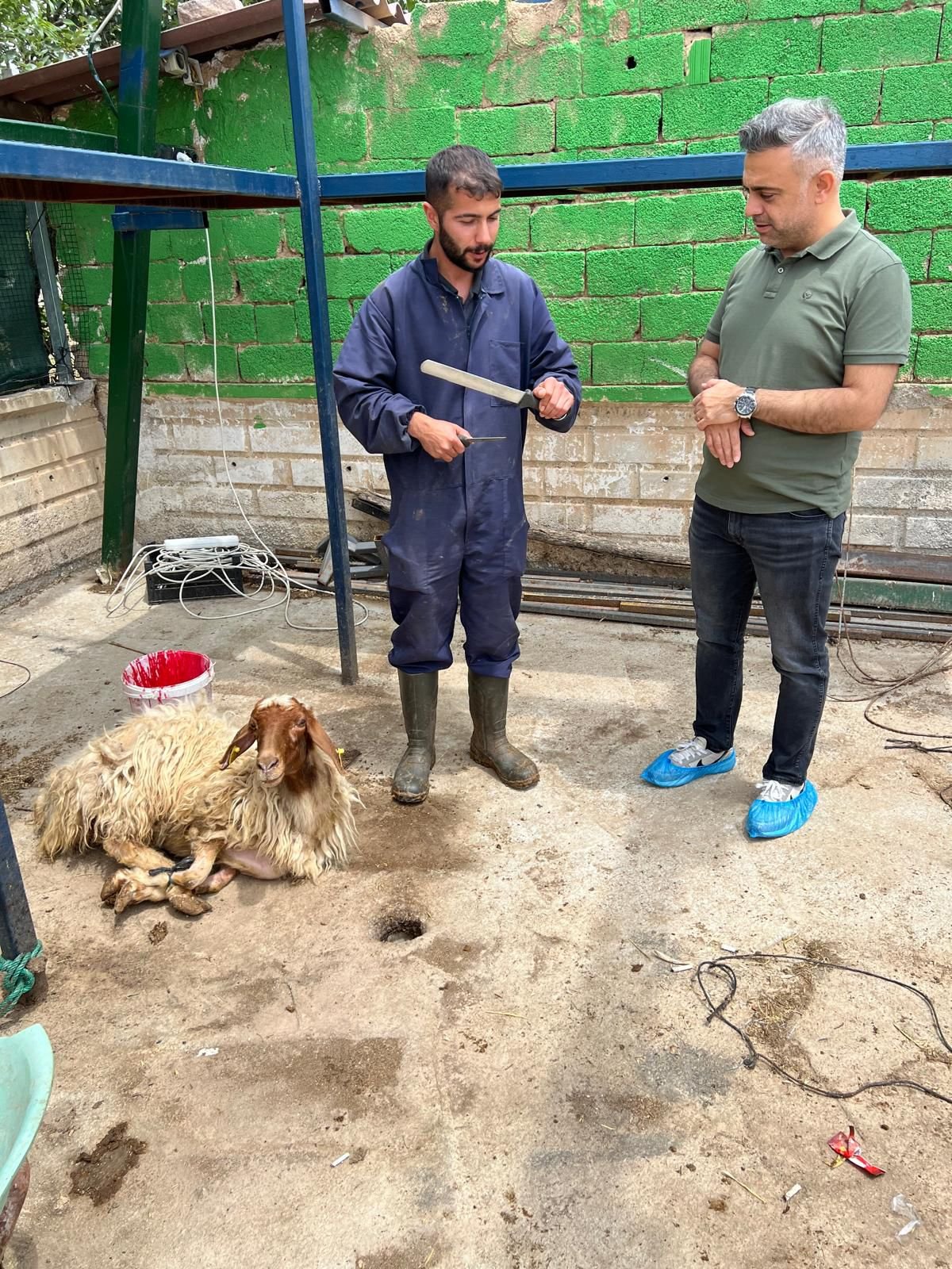 Altunkara Besicilik gerçek müşteri memnuniyeti fotoğrafı Konya
